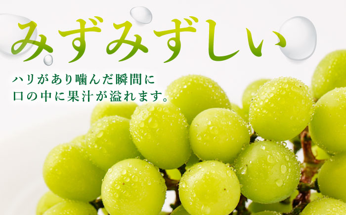 【甘くてみずみずしい】シャインマスカット 約2kg ( 3～4房 ) /菓子工房ピュアハート [UDF002]