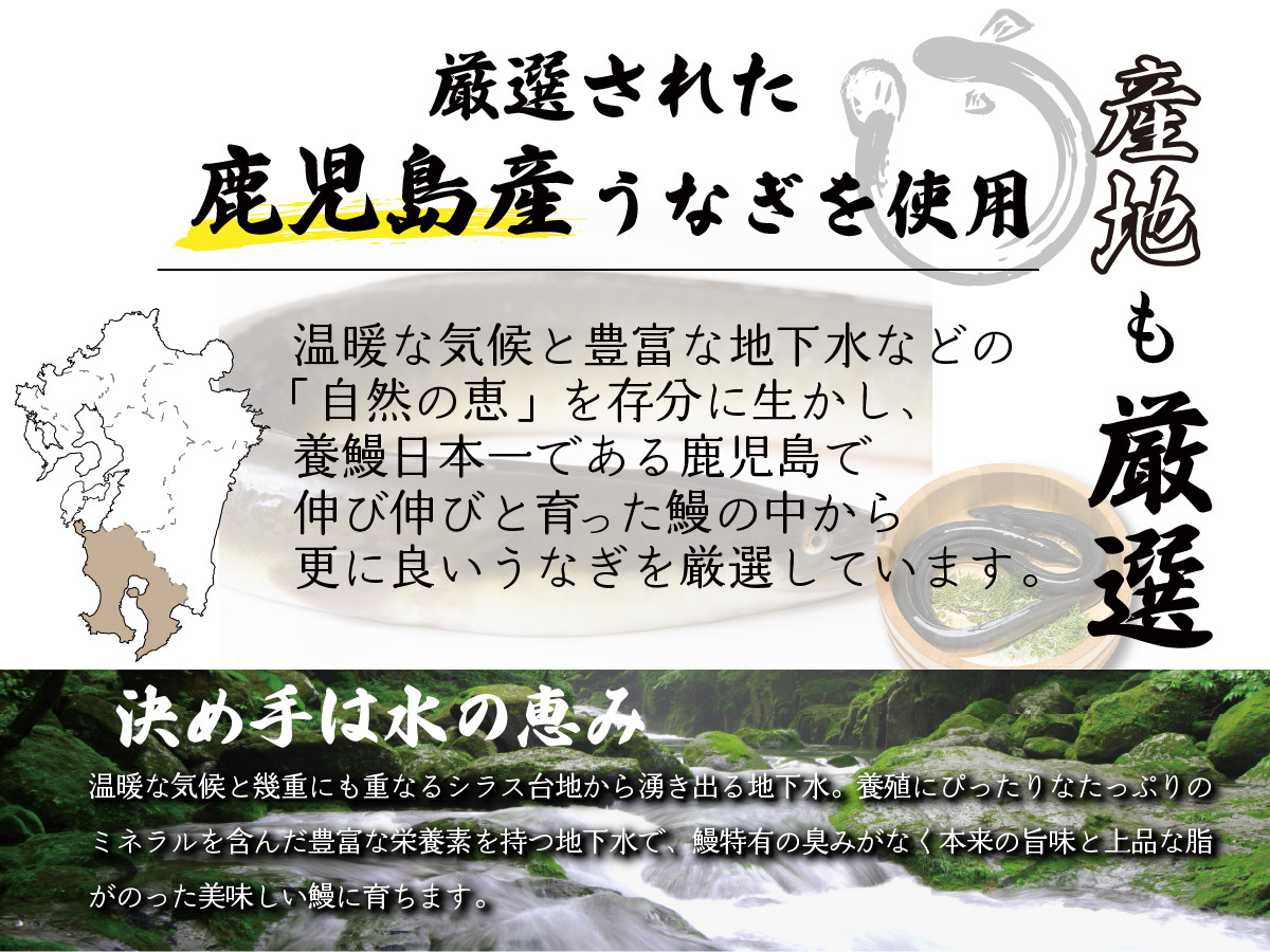 【120年老舗醤油蔵仕込みのたれと関門の塩】高級鰻 蒲焼（250g前後）×2尾