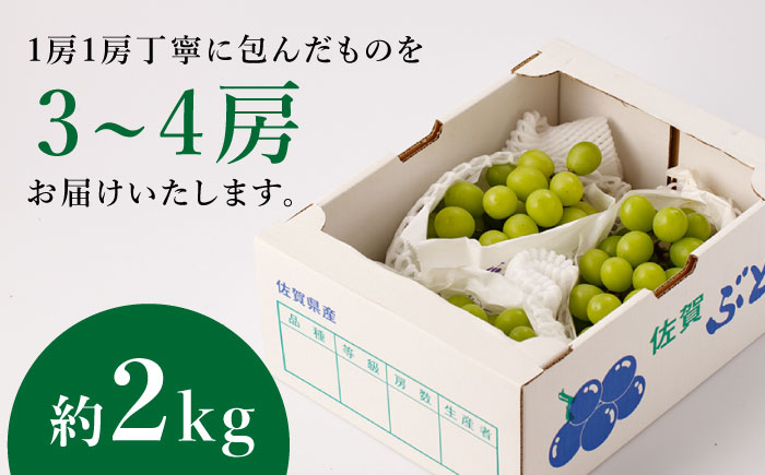 【甘くてみずみずしい】シャインマスカット 約2kg ( 3～4房 ) /菓子工房ピュアハート [UDF002]
