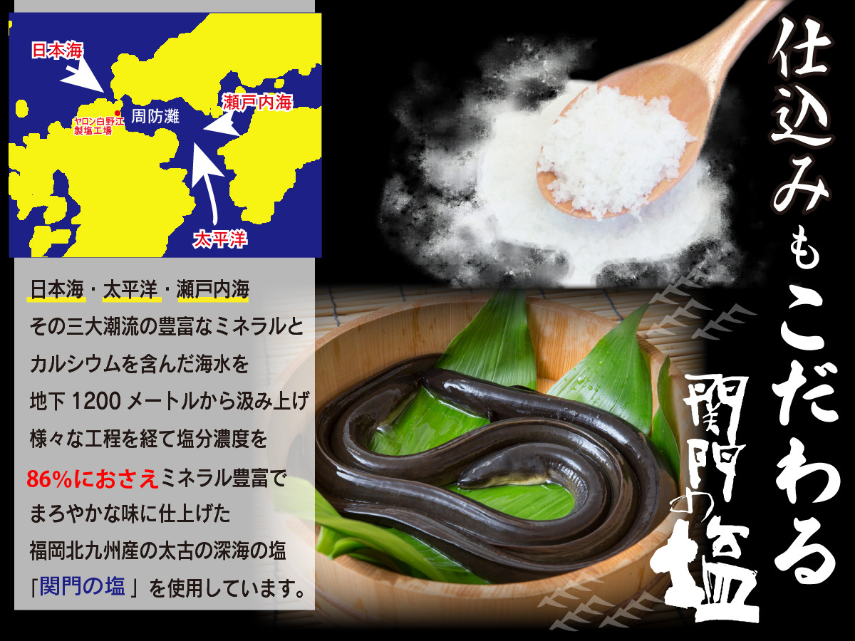 【120年老舗醤油蔵仕込みのたれと関門の塩】高級鰻 蒲焼（250g前後）×2尾