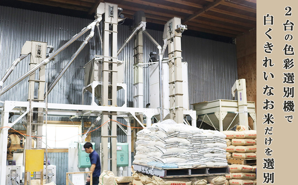 精米時には2台の色彩選別機で色米をダブル選別し、異物除去。綺麗なお米だけを出荷しています。