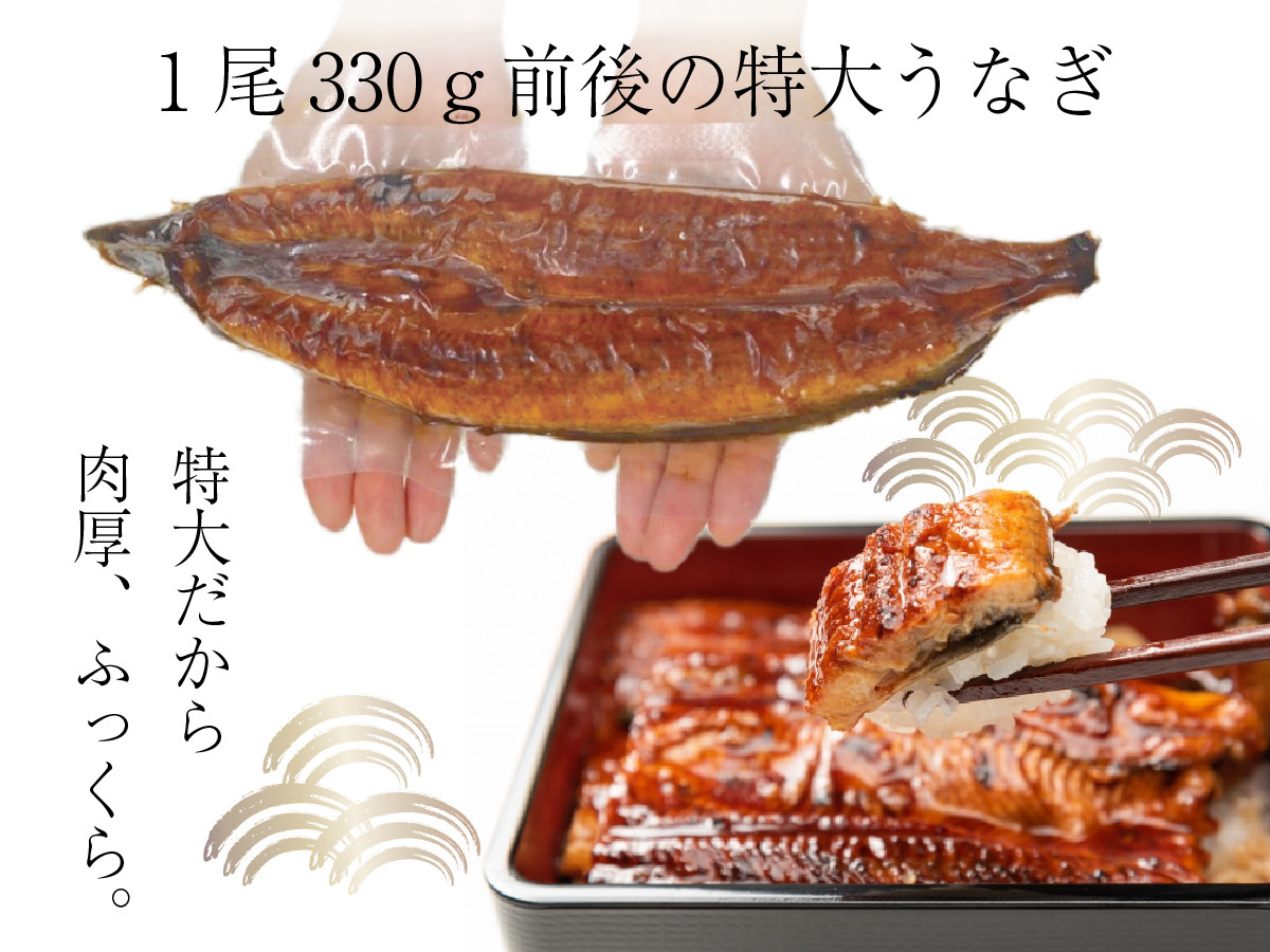 【120年老舗醤油蔵仕込みのたれと関門の塩】超特大 鰻 蒲焼（330g前後）×4尾