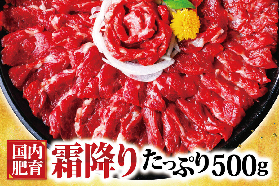 熊本馬刺し 霜降り たっぷり約500g(約50g×10パック)専用醤油付き