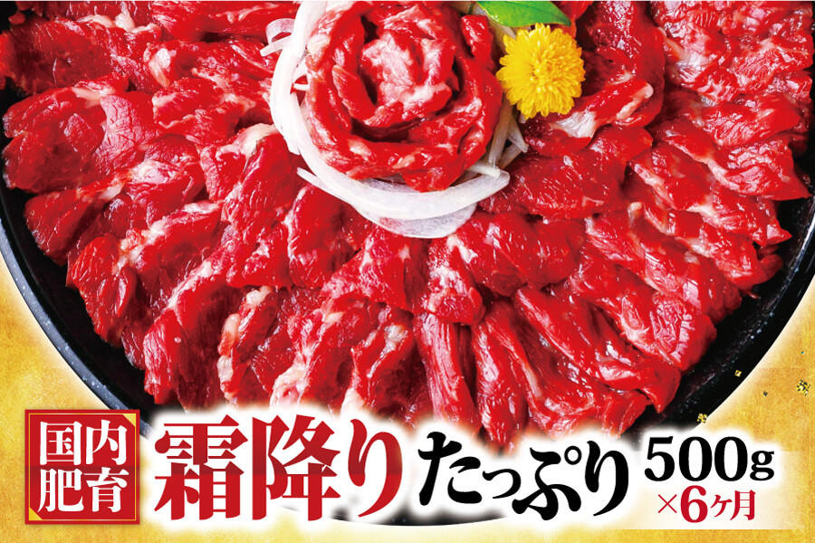 熊本馬刺し 霜降り たっぷり約500g(約50g×10パック)専用醤油付き