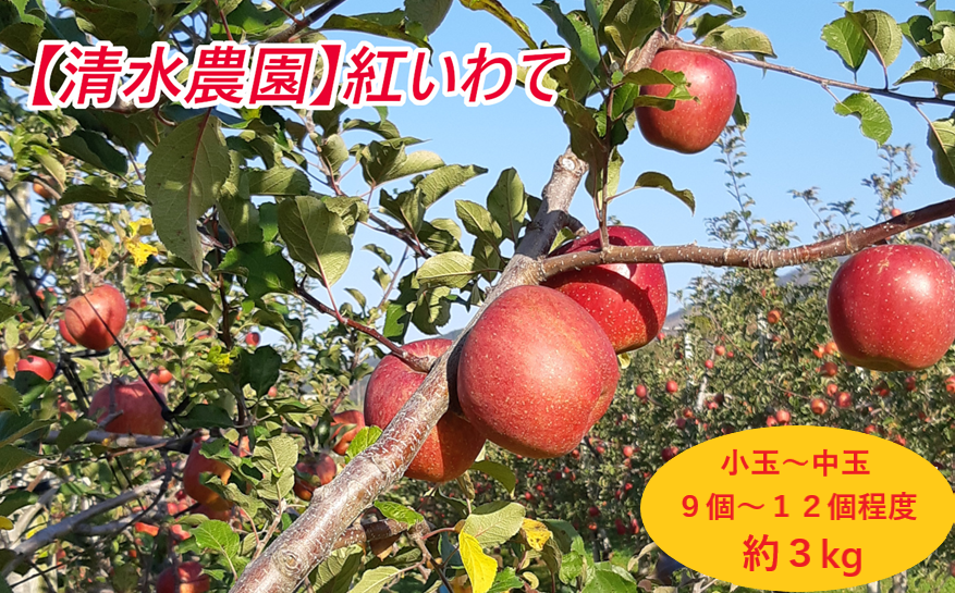 初秋に味わえる岩手オリジナル品種！