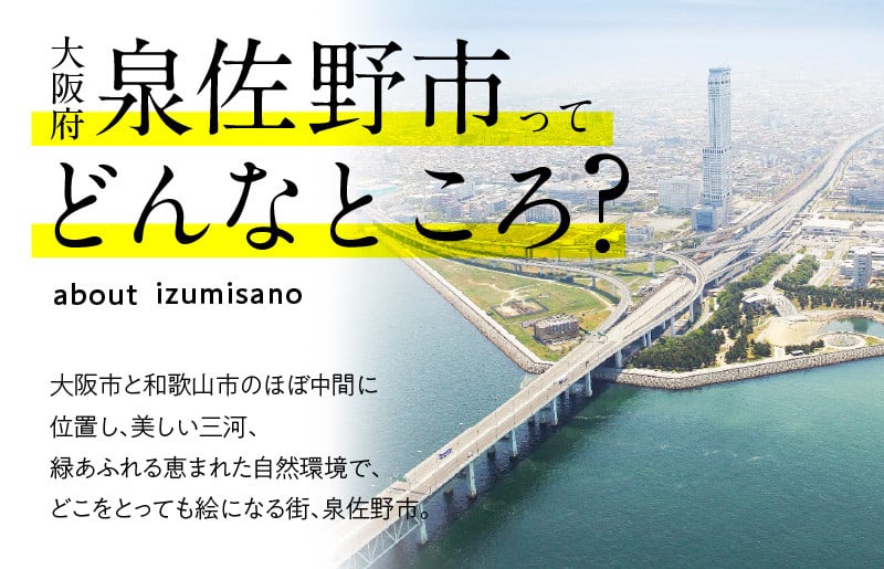 ふるさと納税】＼発送時期が選べる／北極圏サーモン 切り落とし