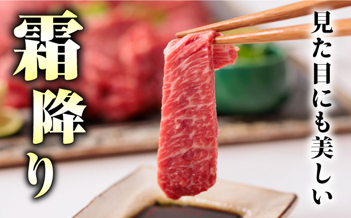 国産 馬刺し 熊本 山鹿市 霜降り サシ 大トロ 中トロ 専用醤油付き 食べ比べ セット 冷凍 小分け おつまみ ヘルシー