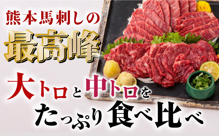 国産 馬刺し 熊本 山鹿市 霜降り サシ 大トロ 中トロ 専用醤油付き 食べ比べ セット 冷凍 小分け おつまみ ヘルシー