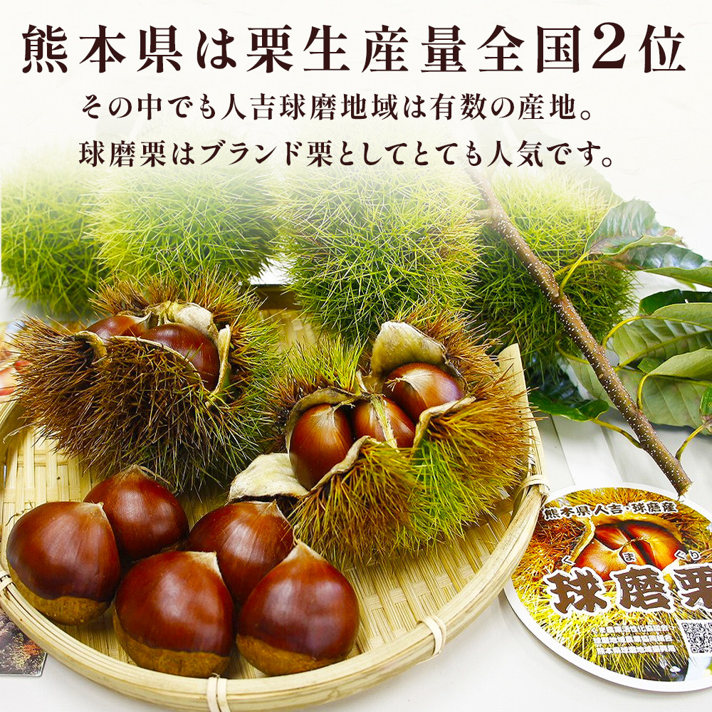 【球磨 栗】 2kg