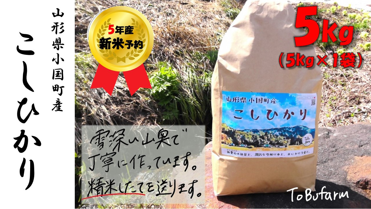 強い甘みとほど良い粘りで、バランスのとれたお米です。山形県産は食味の良さでも高い評価を得ています。