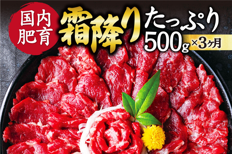 【3ヶ月定期便】【ふるさと納税】 熊本馬刺し 霜降りたっぷり500g (50g×10パック) 専用醤油付き