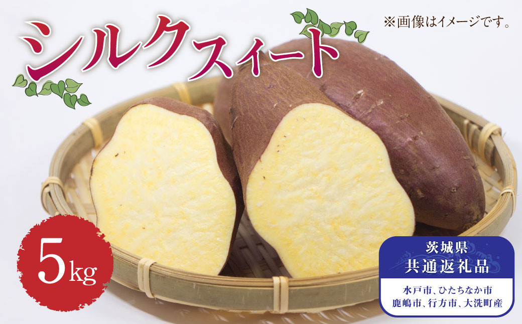 茨城県産 さつまいも【シルクスイート】5kg (茨城県共通返礼品・水戸市、ひたちなか市、鹿嶋市、行方市、大洗町産)