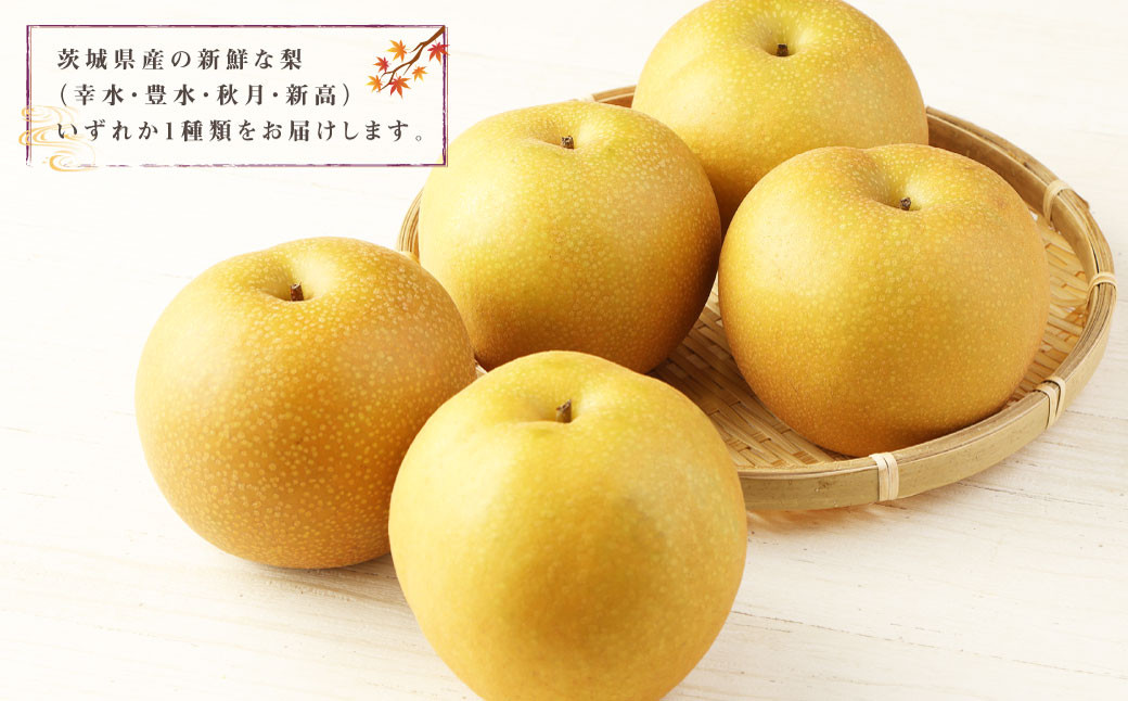 茨城県産 梨【幸水・豊水・秋月・新高いずれか1種類をお届け】10kg （茨城県共通返礼品・石岡市産）