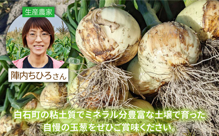 サラダにおすすめ!