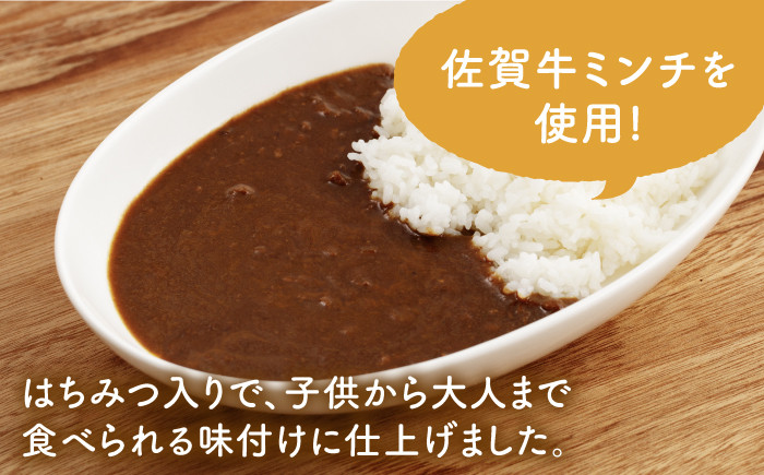【全12回定期便】Ranaカレー 4袋セット【創作キッチンRana】 [HCK008]