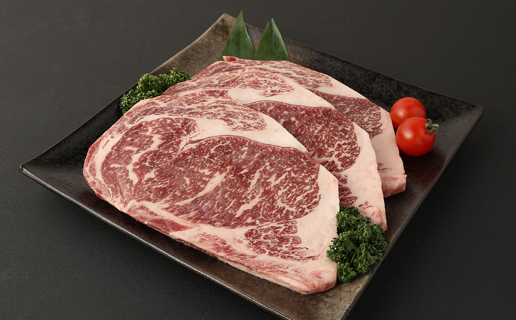 くまもとあか牛 ブロック 約5kg～6kg