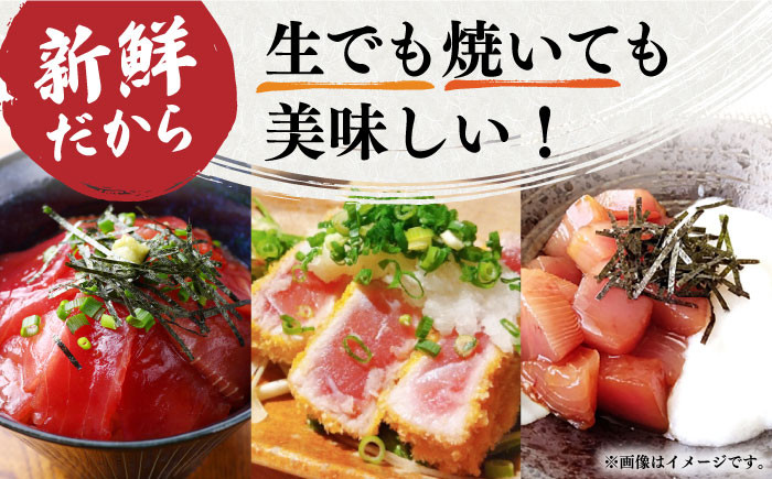 訳アリ 冷凍 セット 長崎 長崎県 養殖マグロ