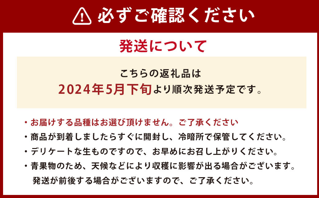 熊本県産 小玉すいか＆アールスメロン