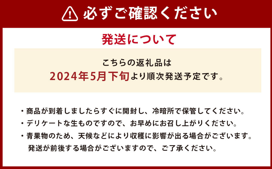 熊本県産 アールスメロン 2玉セット フルーツ 果物