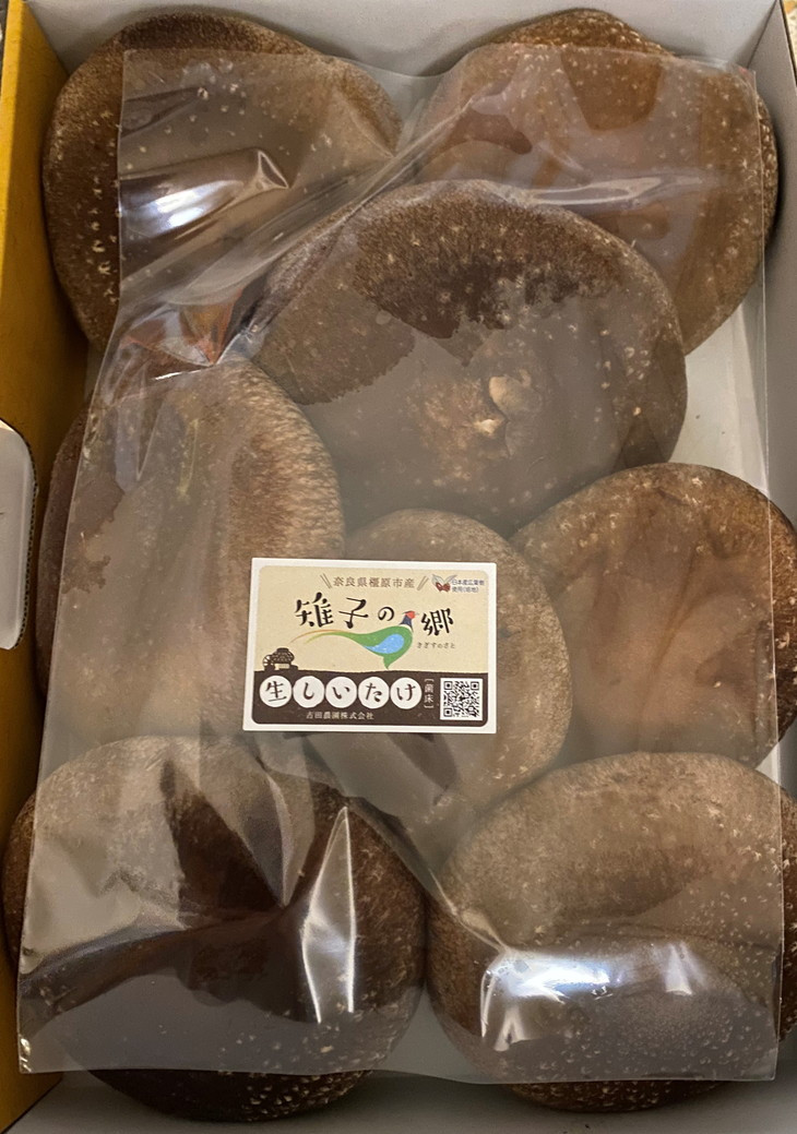 橿原市産 採れたての生しいたけ（菌床）