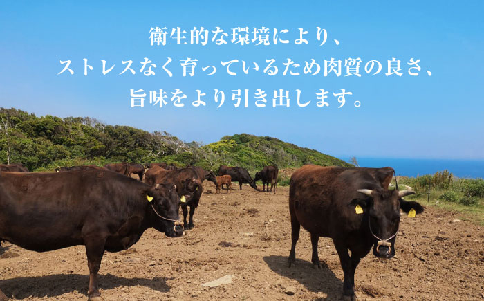 熊本県産 黒毛和牛 サーロイン ステーキ 牛肉 国産 和牛 A4ランク以上 冷凍 ロース 霜降り 高級 九州産 熊本産 山鹿市