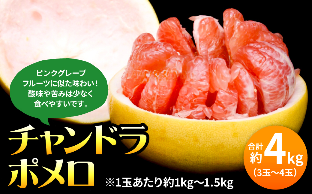 世界1大きい柑橘類、晩白柚の発祥地からチャンドラポメロ 約4kg(3玉~4玉)をお届け!