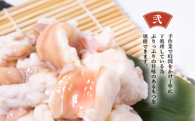 【老舗人気店】博多 本格 もつ鍋 セット 2～3人前 福岡県 志免町 モツ鍋 国産