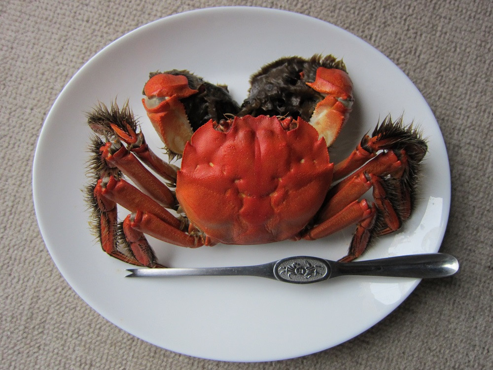 【訳あり：期間限定】天然活きモクズガニ 【小サイズ】 約1.5kg （15匹～22匹 オス・メス混合）