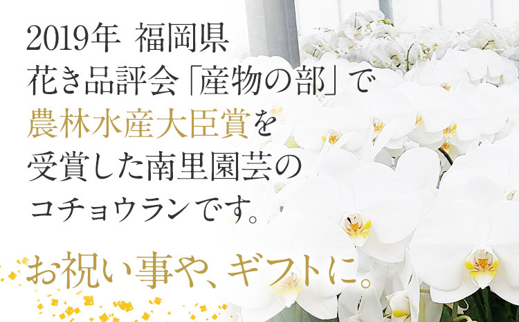 生産者の方々