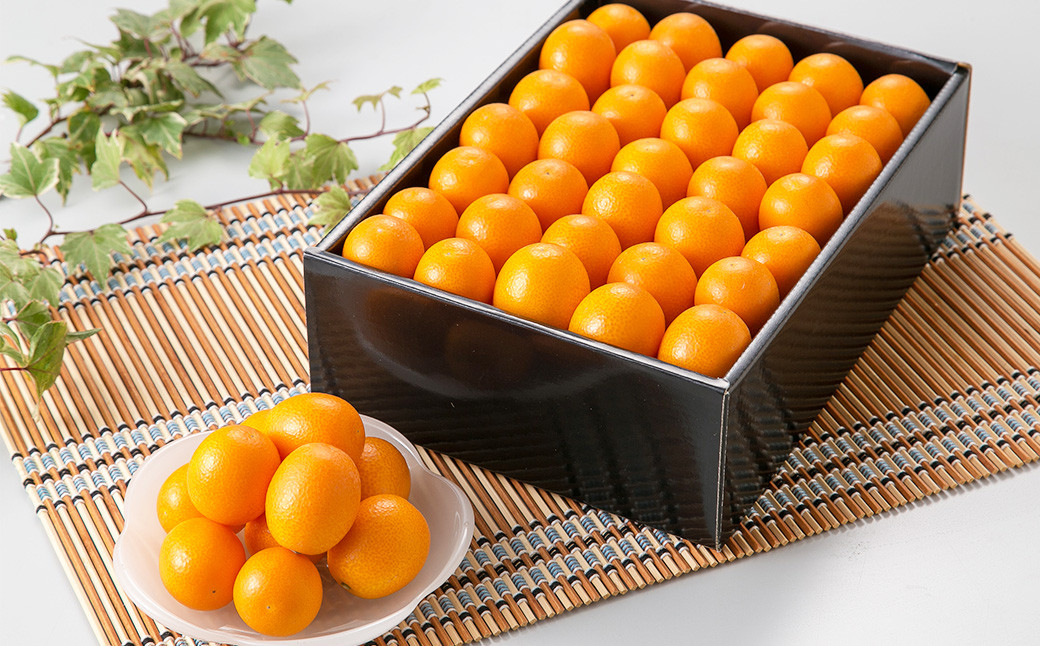 熊本県産 完熟ハウスキンカン約1.5kg