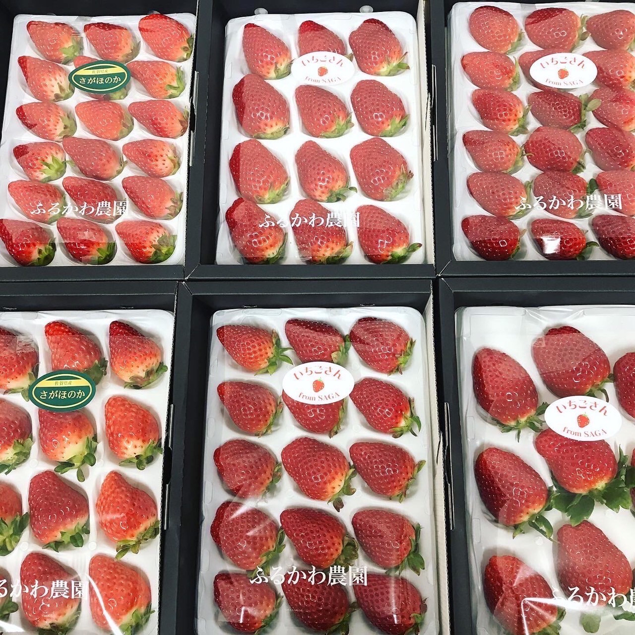 画像はイメージです。実際のお届けは1,200g(300g×4箱)。【2026年2月頃発送予定】の先行予約のお品になります。