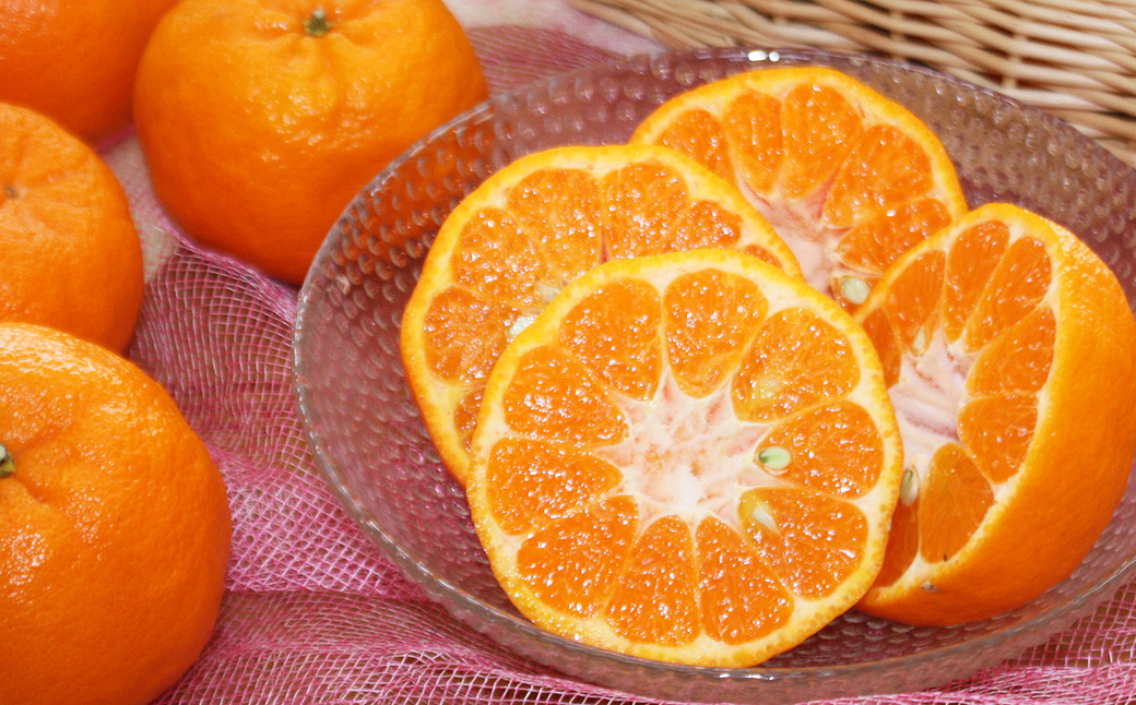 熊本県産 ポンカン 約2.2kg