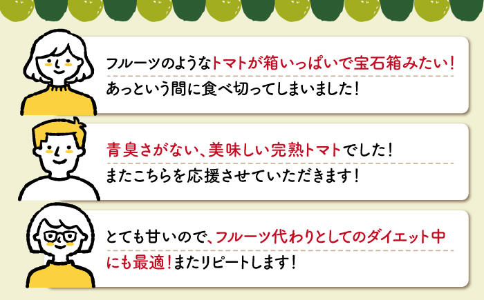 ミニ トマト 訳あり 3kg