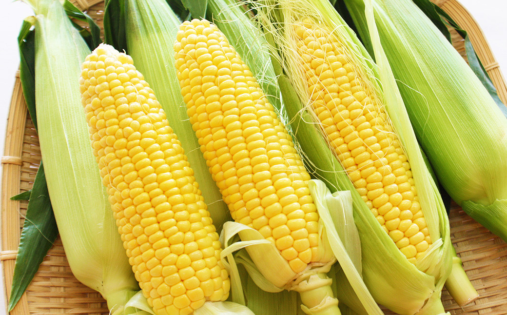 熊本県産 スイートコーン 4～5本 と フルーツトマト 約1kg 