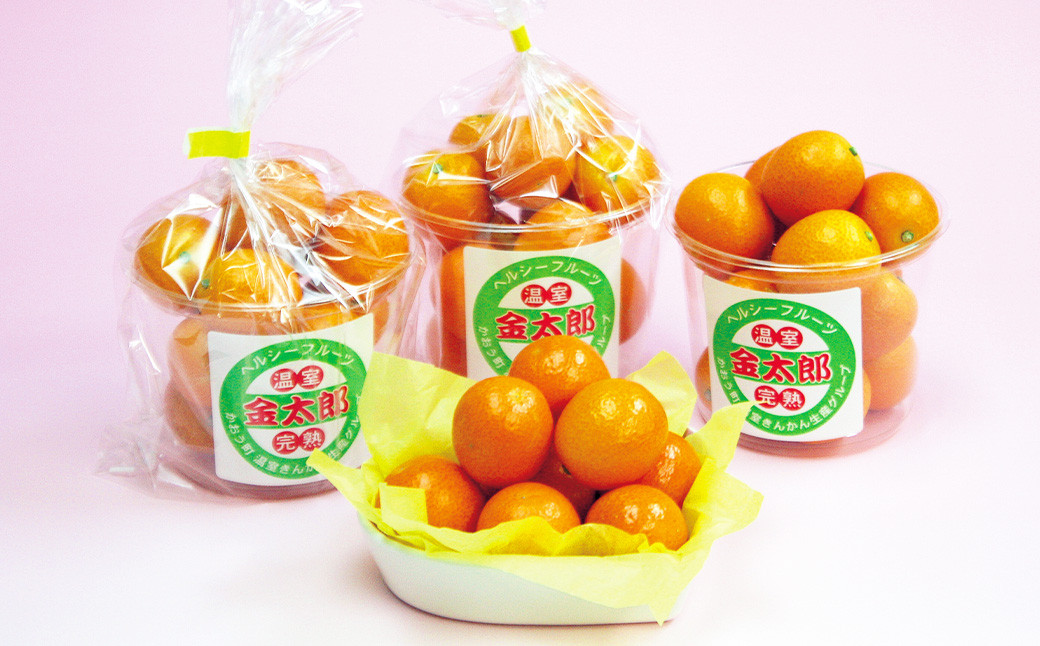 熊本県産 完熟ハウスキンカン約1.5kg