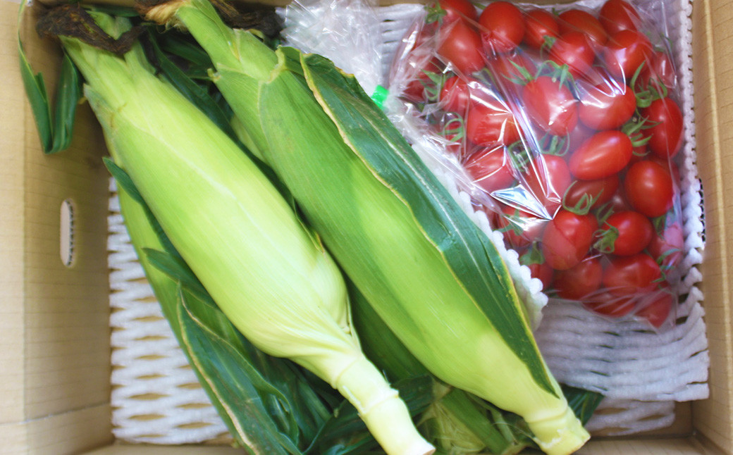 熊本県産 スイートコーン 4～5本 と フルーツトマト 約1kg 