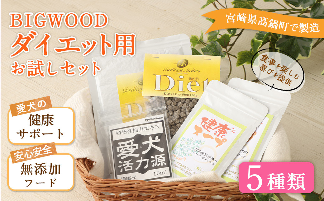<BIGWOOD ダイエット用お試しセット>