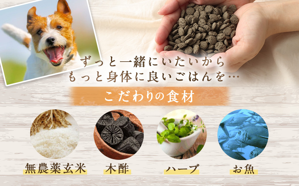 <おさかな華 500g>