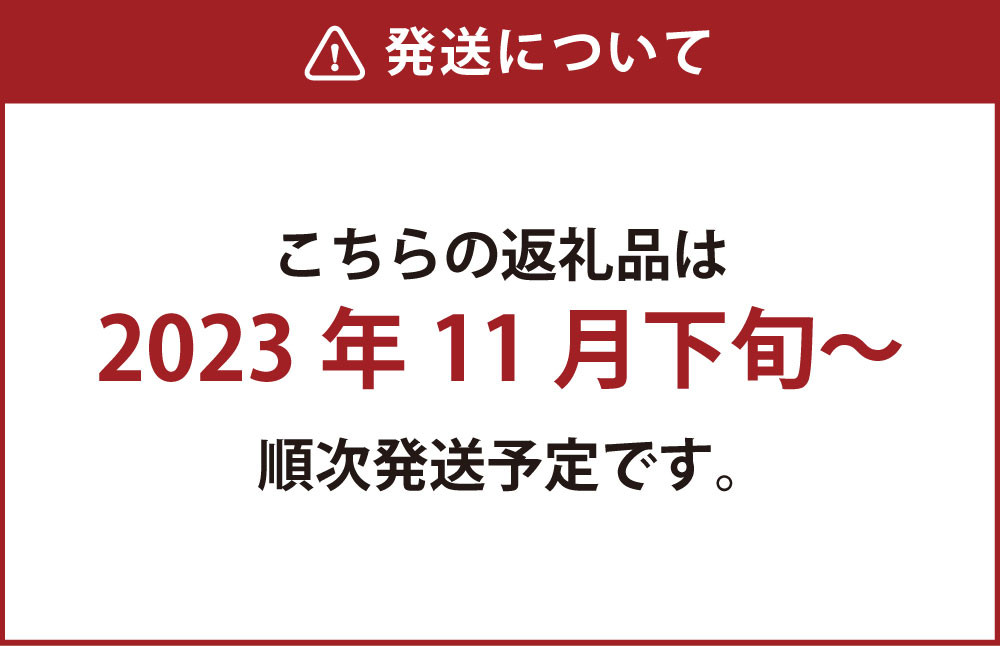 農家のこだわりみかん10㎏【期間限定】 みかん 果物 フルーツ
