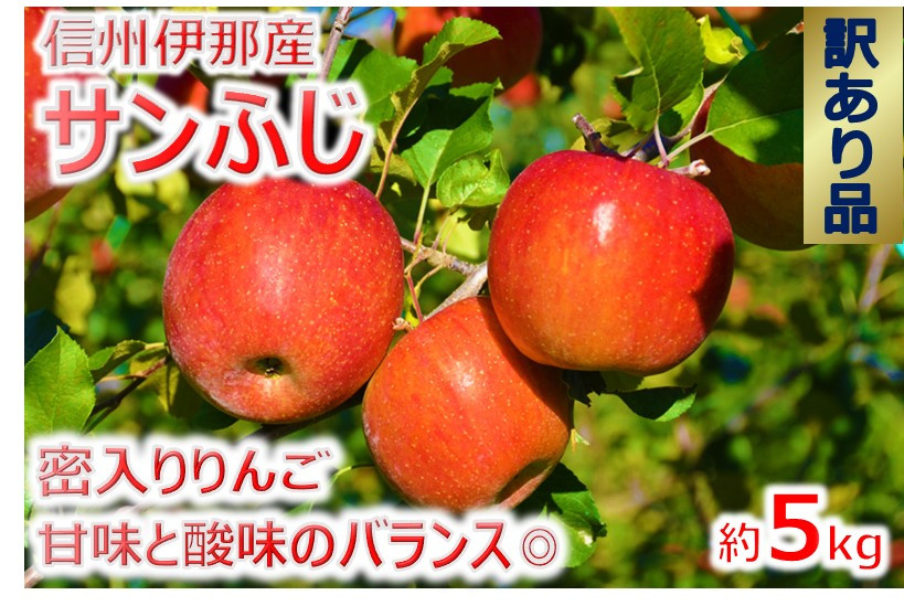 サンふじはりんごの王様と言っても過言ではない、りんごの中でもとても美味しい品種です。