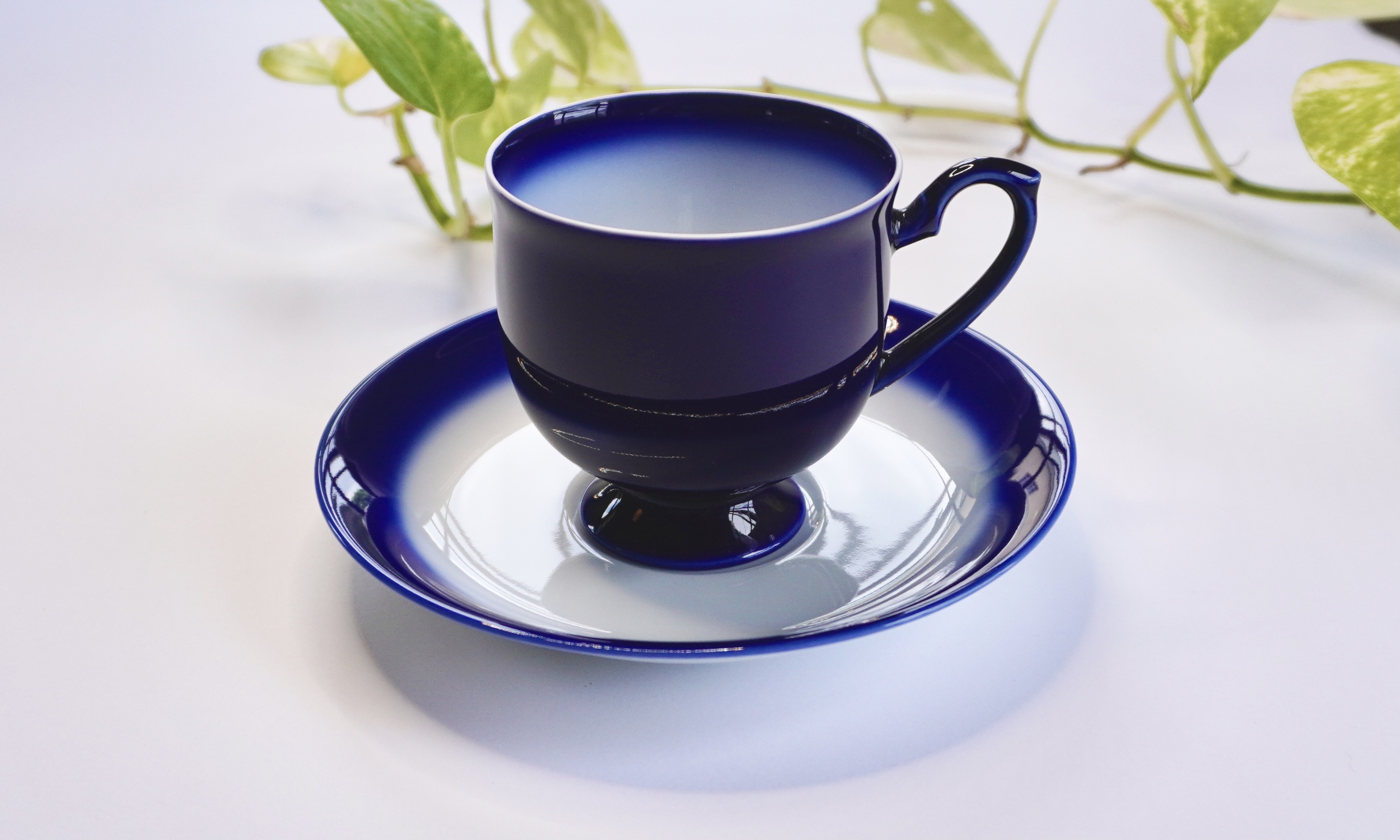 深いコバルトブルーから白色へのグラデーションです。