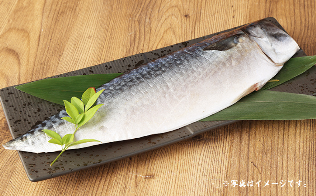 迷うなら全部入れちゃう干物セット 6～8枚