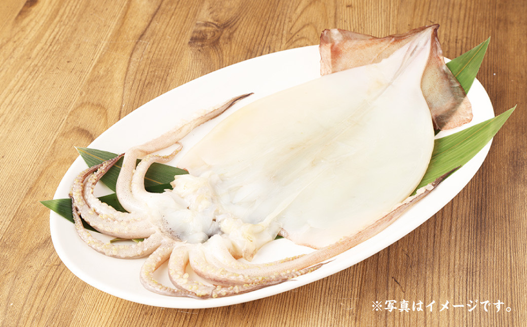 迷うなら全部入れちゃう干物セット 6～8枚