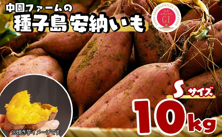 本場・安納地域産の「種子島安納いも」です！