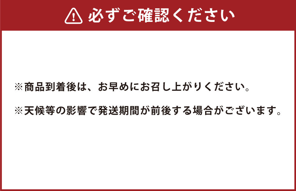 「先行予約」熊本市産 新高梨 約5kg