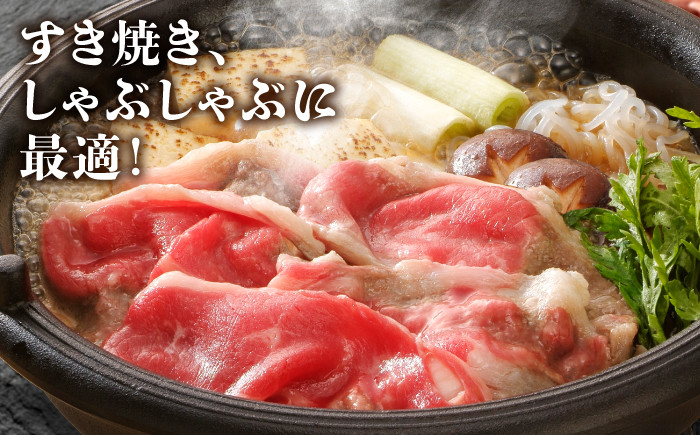 佐賀牛ローススライス 500ｇ（すき焼き・しゃぶしゃぶ用）佐賀牛 ロース スライス 鍋 佐賀 国産 冷凍 ロース肉