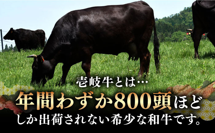 ステーキ 人気 和牛  壱岐牛 希少 柔らかい やわらかい 贈り物 ギフト