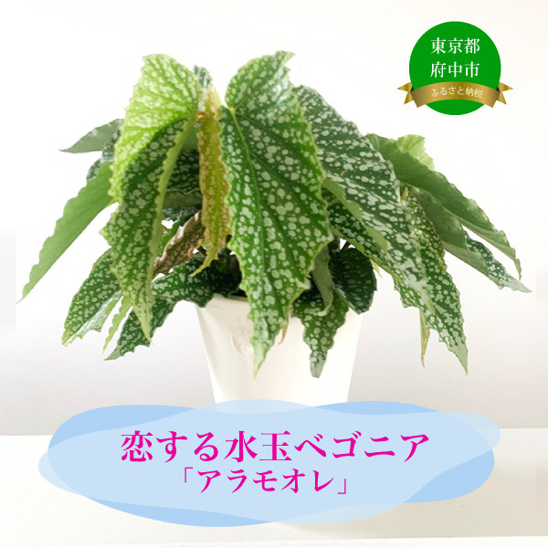 まるで斬新なアートのような白の水玉模様が魅力