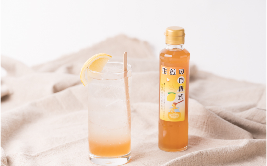 生姜の方程式 シロップ ジンジャーエール の素 計400ml（200ml×2本）