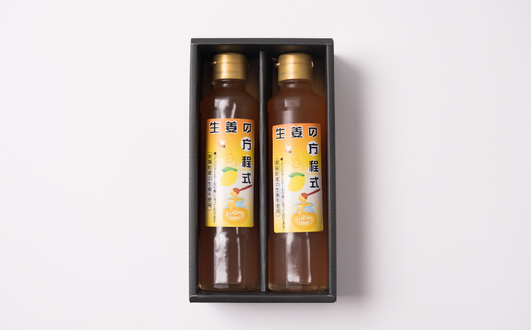 生姜の方程式 シロップ ジンジャーエール の素 計400ml（200ml×2本）